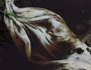 Tütentkunst.webp