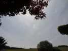 DSC00562.webp