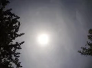 DSC00567.webp
