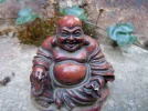 DSCN7084.webp