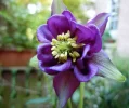 DSCN6862.webp