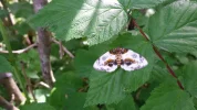 20150607_163432.webp