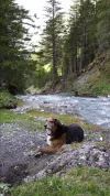 20150511_181806.webp