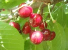 DSCF7050.webp