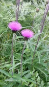 20150620_180652.webp