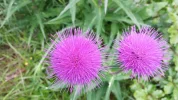 20150620_180631.webp