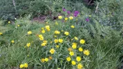 20150620_174856.webp