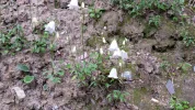 20150620_162959.webp
