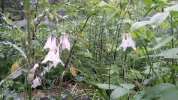 20150620_170324.webp