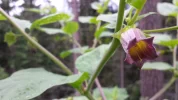 20150620_162812.webp