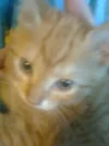 Karli Tag 3.webp