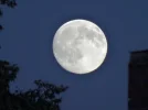 Vollmond_20150630.webp