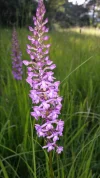 20150629_191132.webp