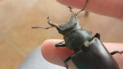 20150704_181109.webp