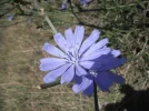 DSCF7344.webp