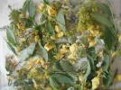 DSCF7357.webp