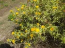 036.webp
