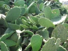 015.webp