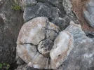 07_036-1.webp