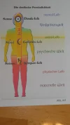 DSCN4993.webp