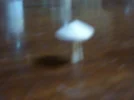 P1010004.webp