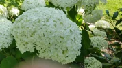 20150722_165332 (1024x576).webp