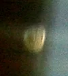 344.webp