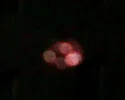 179091_633792173302943_1869873883_n.webp