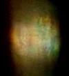 herrlich.webp