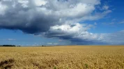 20150726_162228 (1024x576).webp