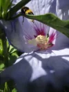 DSC08010.webp