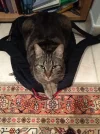 iPhone-Fotos und Videos 1025.webp