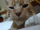 DSC07997.webp
