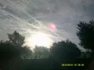 DSCF0354.webp