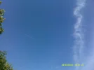 DSCF0366.webp