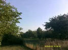 DSCF0370.webp