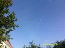 DSCF0371.webp
