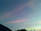 DSCF0379.webp
