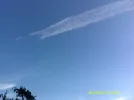 DSCF0386.webp