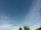 DSCF0392.webp