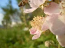 Bild 2929.webp