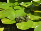 DSC08135.webp