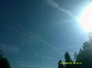 DSCF0406.webp