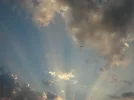 DSC08175.webp