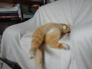 DSC08168.webp