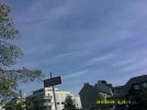 DSCF0435.webp