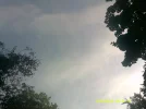 DSCF0462.webp