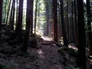 20150809_100516.webp