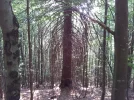 20150809_104411.webp
