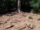 20150809_120349.webp